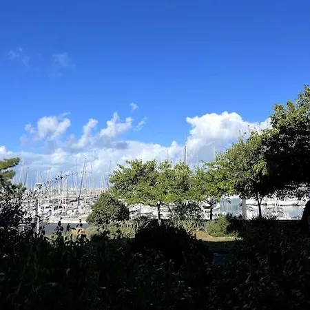 La Marina - Vue Sur Le Port * La Rochelle (Charente-Maritime)